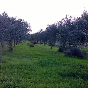 Casa vacanze Sa Mitza Italia
